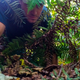 Image for article titled How To Move Through The Woods Silently